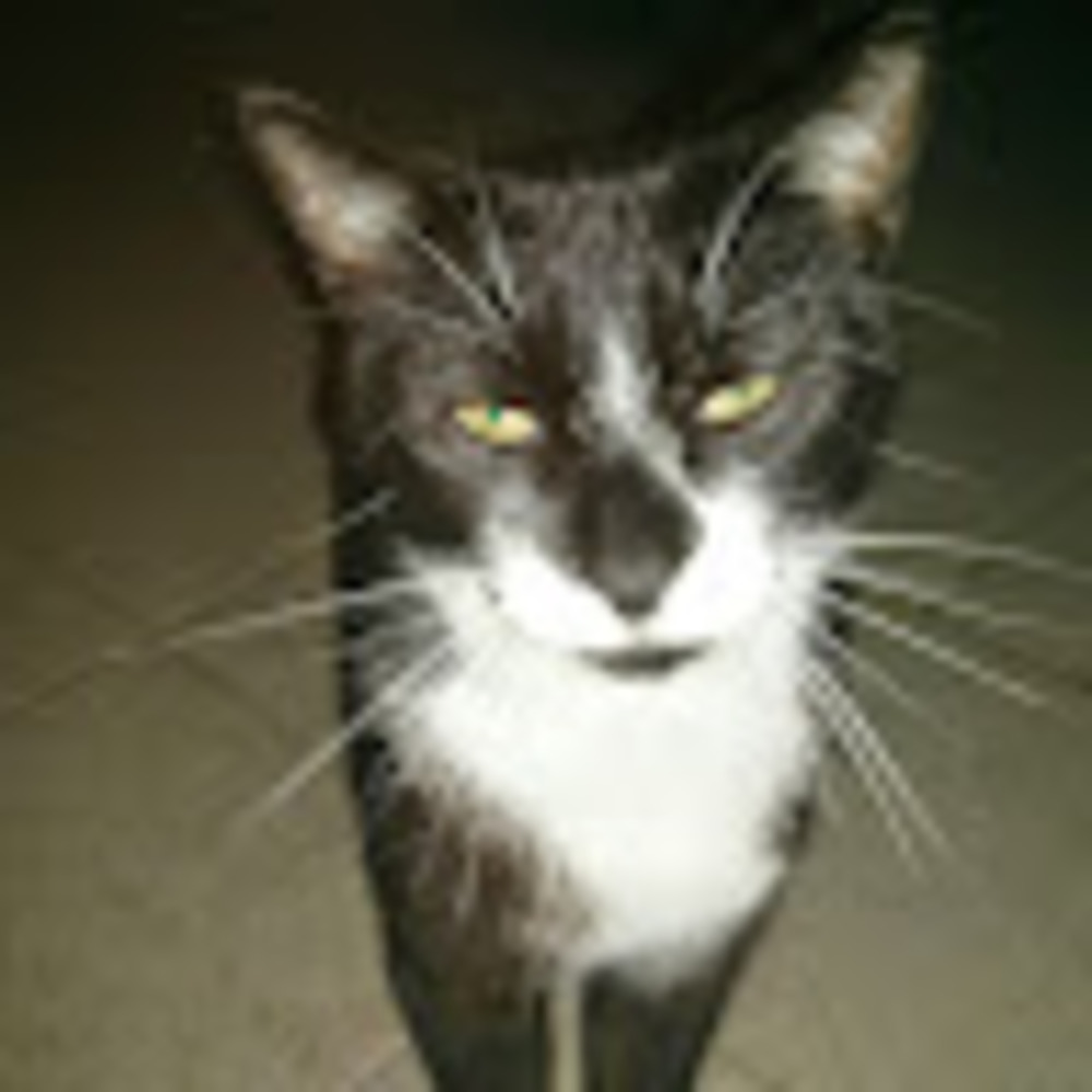 Meet your Posher, Jeanette